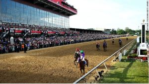California Chrome #3, ridden by Victor Espinoza, races accross the finishline to win the 139th running of the Preakness Stakes at Pimlico Race Course on May 17, 2014 in Baltimore, Maryland. (Photo by Matthew Stockman/Getty Images)