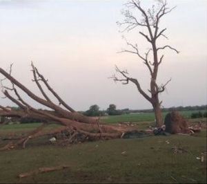 A look at damage as the sun comes up in Pilger, Nebraska. Photo credit: Indra Petersons. 