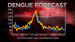 dengue forecast