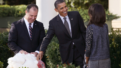 Turkeys ride looks, charm to White House; they won't be gobbled